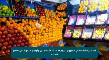 أسعار الفاكهة في مطروح اليوم الأحد 17 أغسطس وتراجع ملحوظ في سعر العنب
